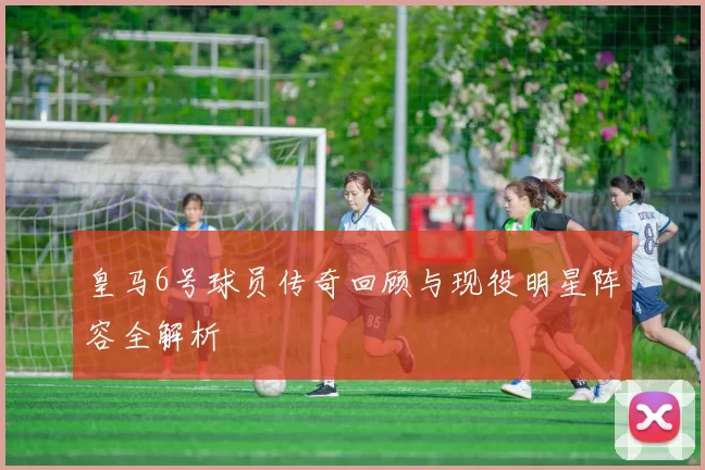 皇马6号球员传奇回顾与现役明星阵容全解析