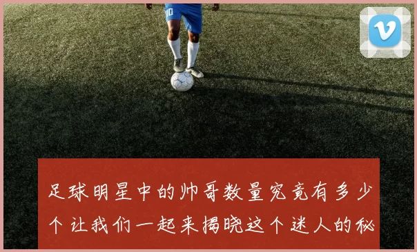 足球明星中的帅哥数量究竟有多少个让我们一起来揭晓这个迷人的秘密吧