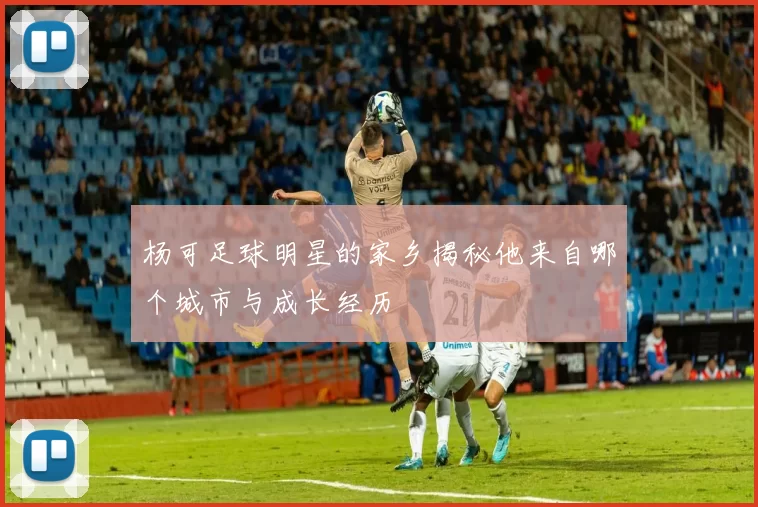 杨可足球明星的家乡揭秘他来自哪个城市与成长经历