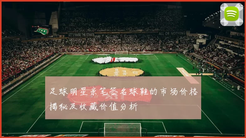 足球明星亲笔签名球鞋的市场价格揭秘及收藏价值分析