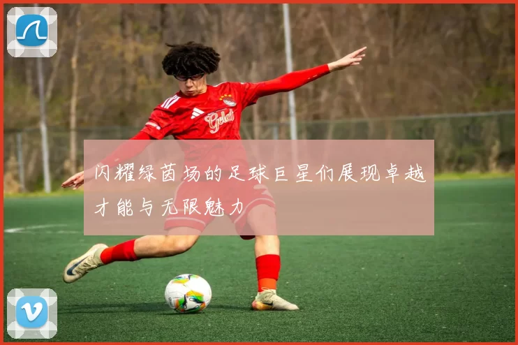 闪耀绿茵场的足球巨星们展现卓越才能与无限魅力
