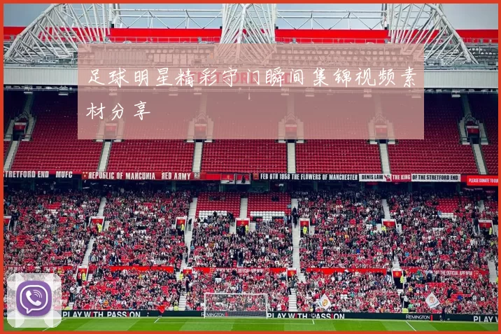足球明星精彩守门瞬间集锦视频素材分享