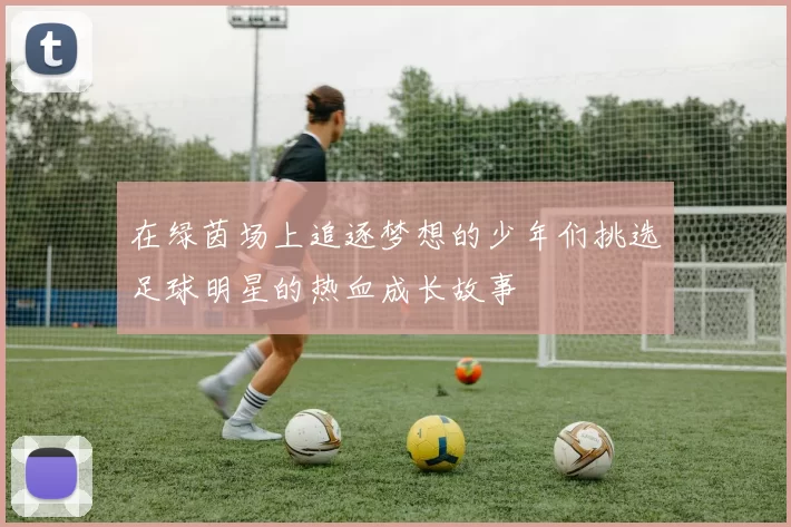在绿茵场上追逐梦想的少年们挑选足球明星的热血成长故事
