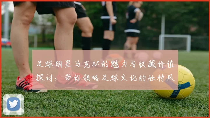 足球明星马克杯的魅力与收藏价值探讨，带你领略足球文化的独特风采