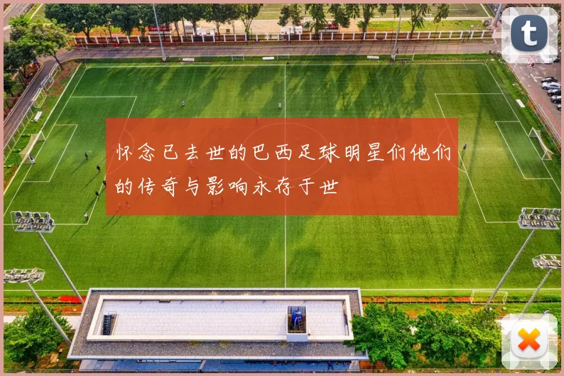 怀念已去世的巴西足球明星们他们的传奇与影响永存于世