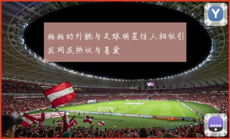 狗狗的外貌与足球明星惊人相似引发网友热议与喜爱