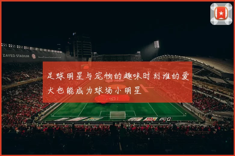 足球明星与宠物的趣味时刻谁的爱犬也能成为球场小明星